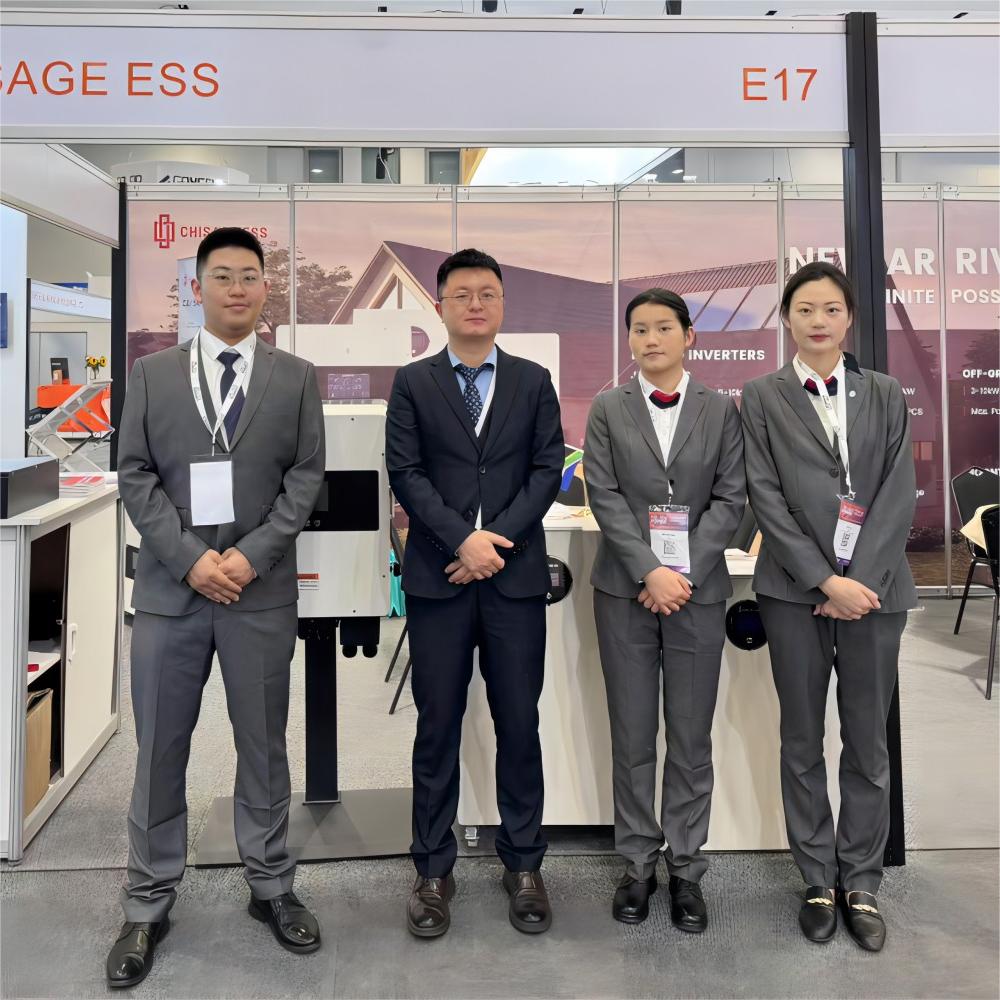 聚焦南非 | 在非洲太阳能电力展上探索 CHISAGE ESS